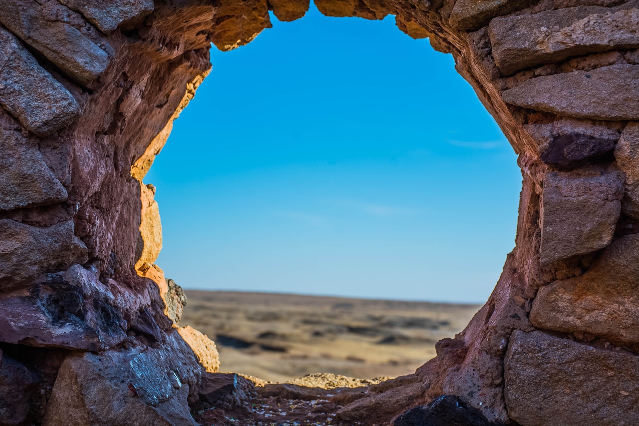 GoConveyのWeb UIでテストが成功し、テスト結果がリアルタイムで緑色に表示されている画面。開発効率の良さを視覚的に伝えている。